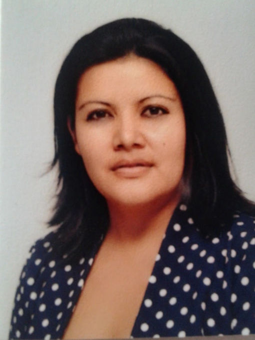 Asesoría Virtual
